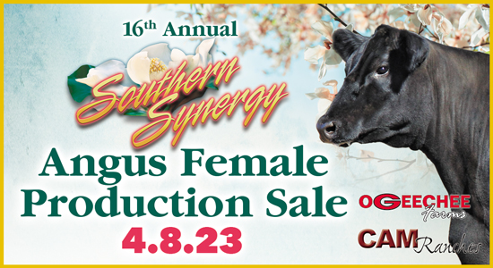 Female sale art work