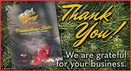 18th Annual Southern Synergy Sale Thank You Artwork