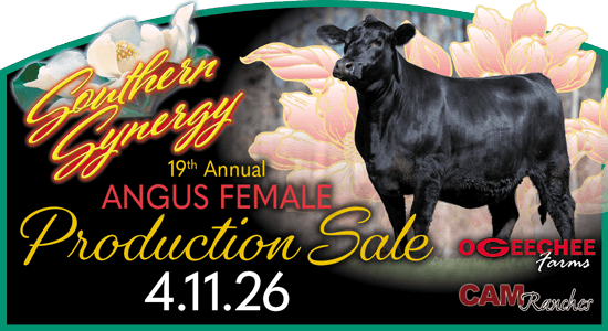 19th Annual Southern Synergy Sale Artwork